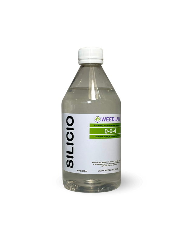 Silicio