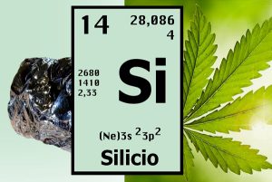 silicate