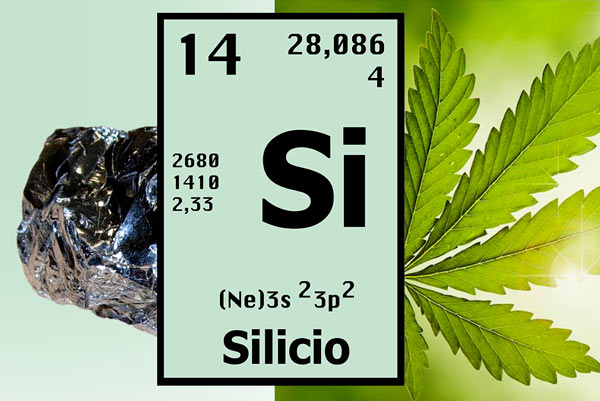 silicate
